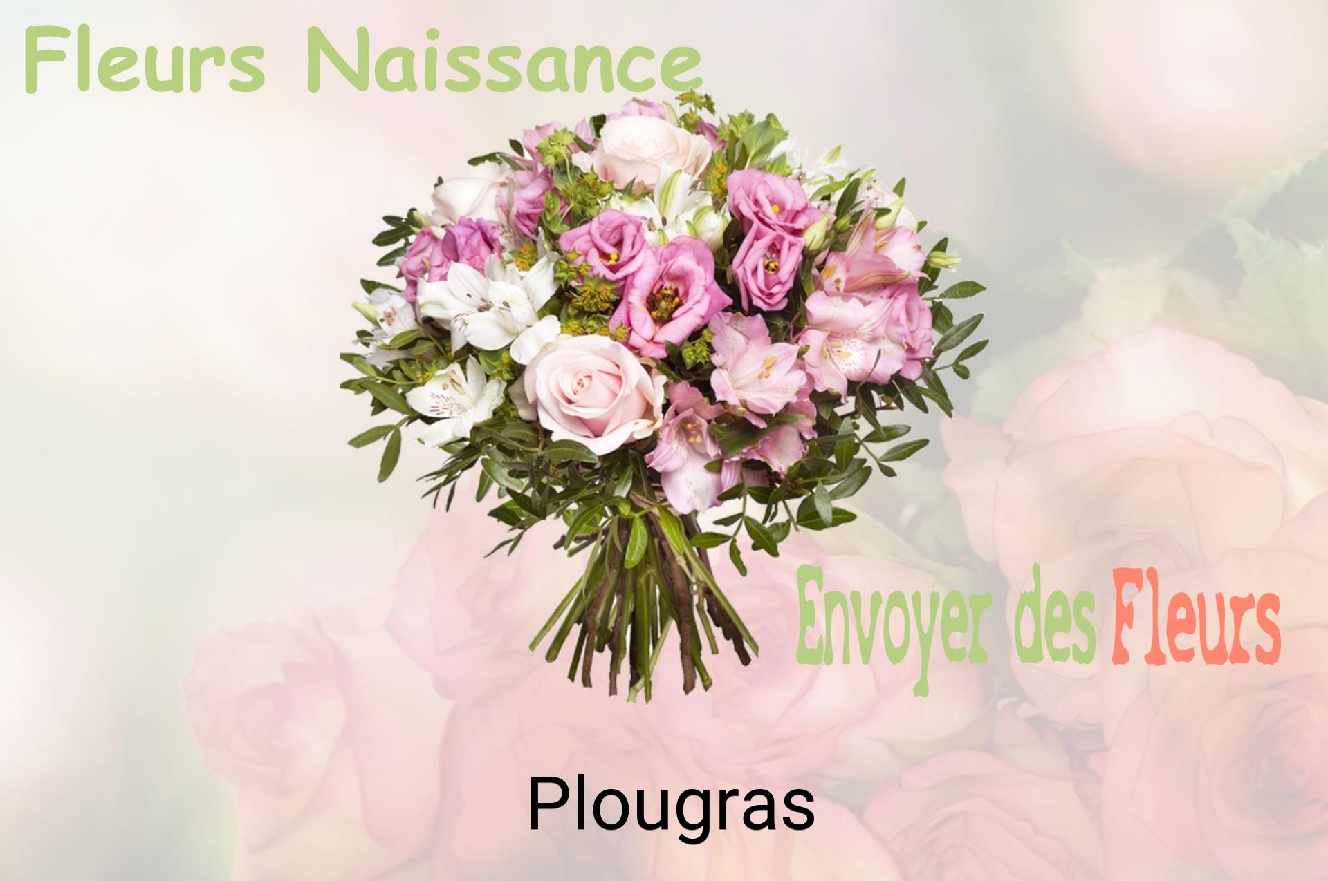 Bouquet de fleurs de naissance livré à Plougras